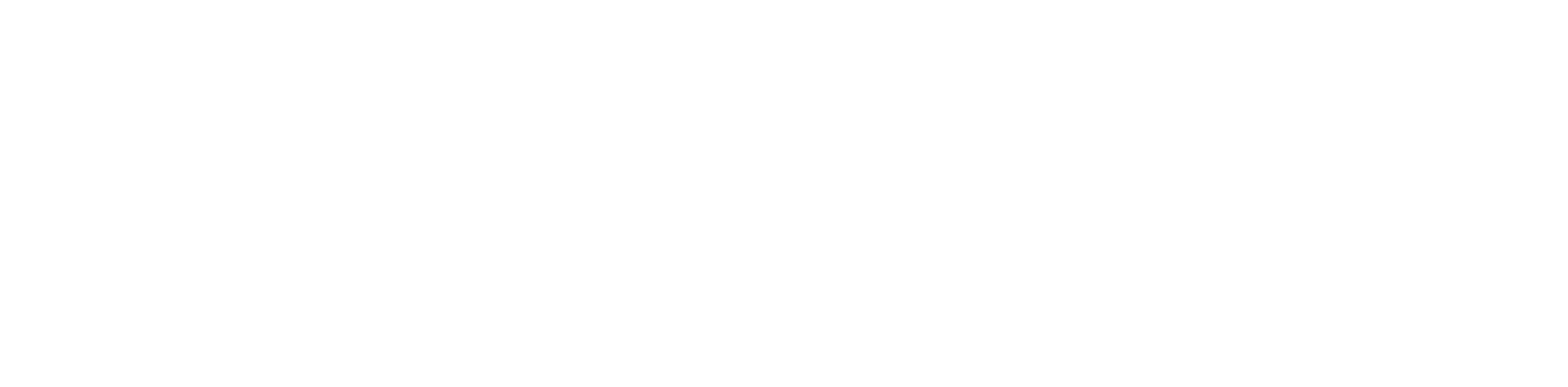 SPRINTRI